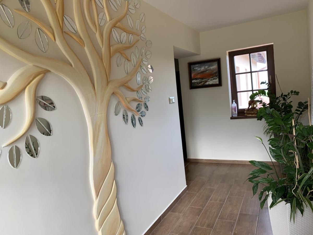 Villa Garden Zalaegerszeg Eksteriør billede