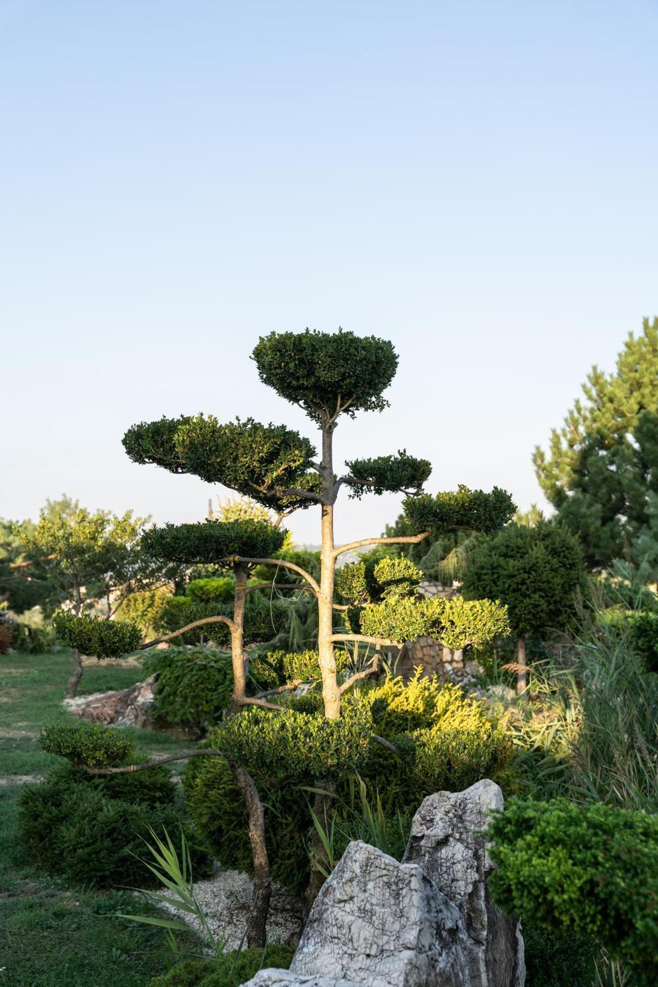 Villa Garden Zalaegerszeg Eksteriør billede