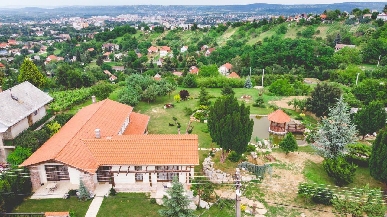 Villa Garden Zalaegerszeg Eksteriør billede
